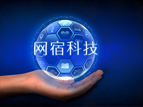 跨界押注“醫藥百慕大” 網宿科技關聯并購疑云難消